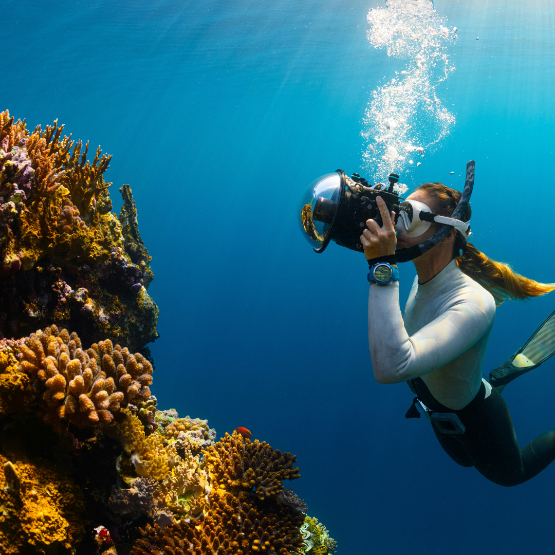 Divemaster - United Scuba