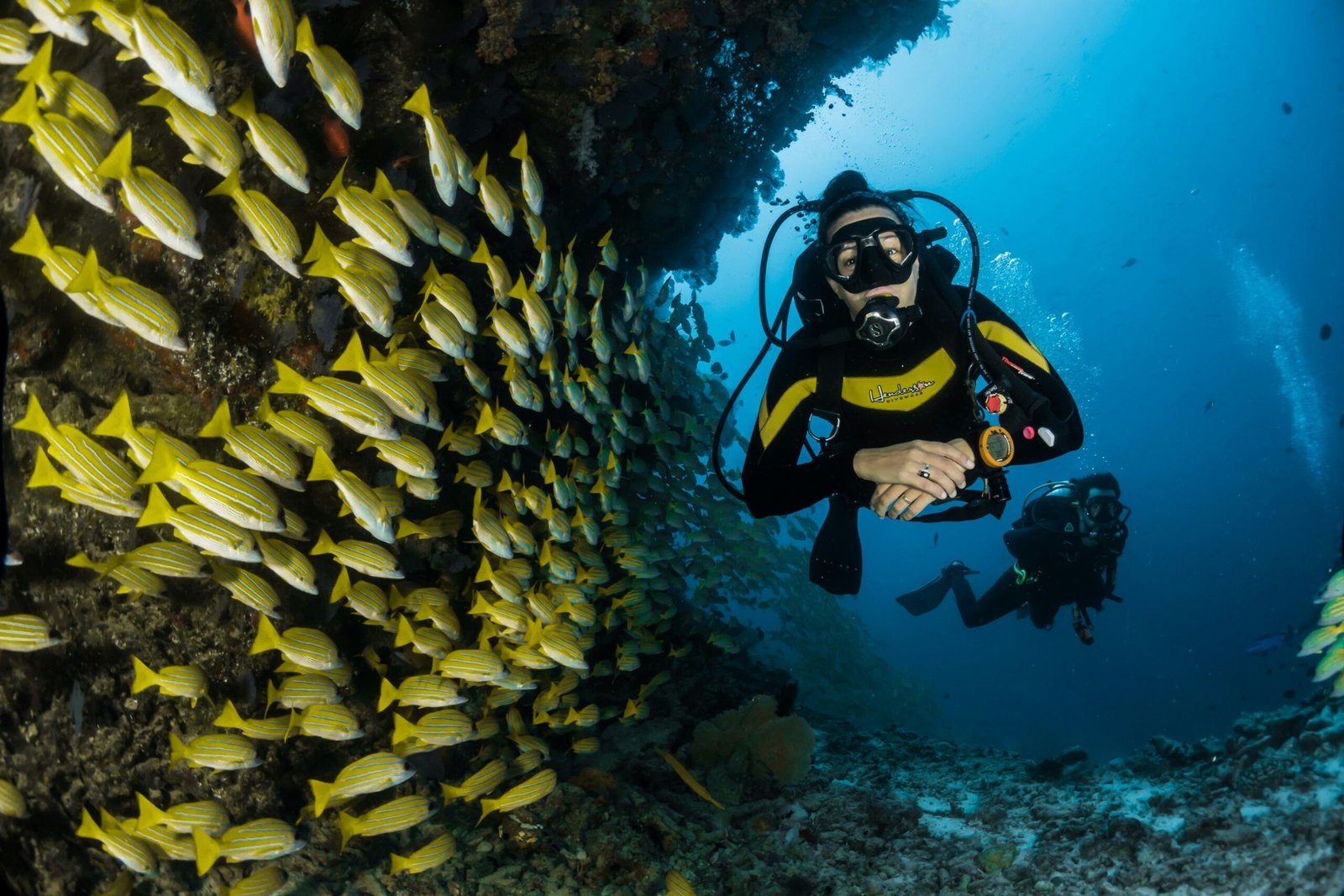 Padi Zero to Hero - United scuba