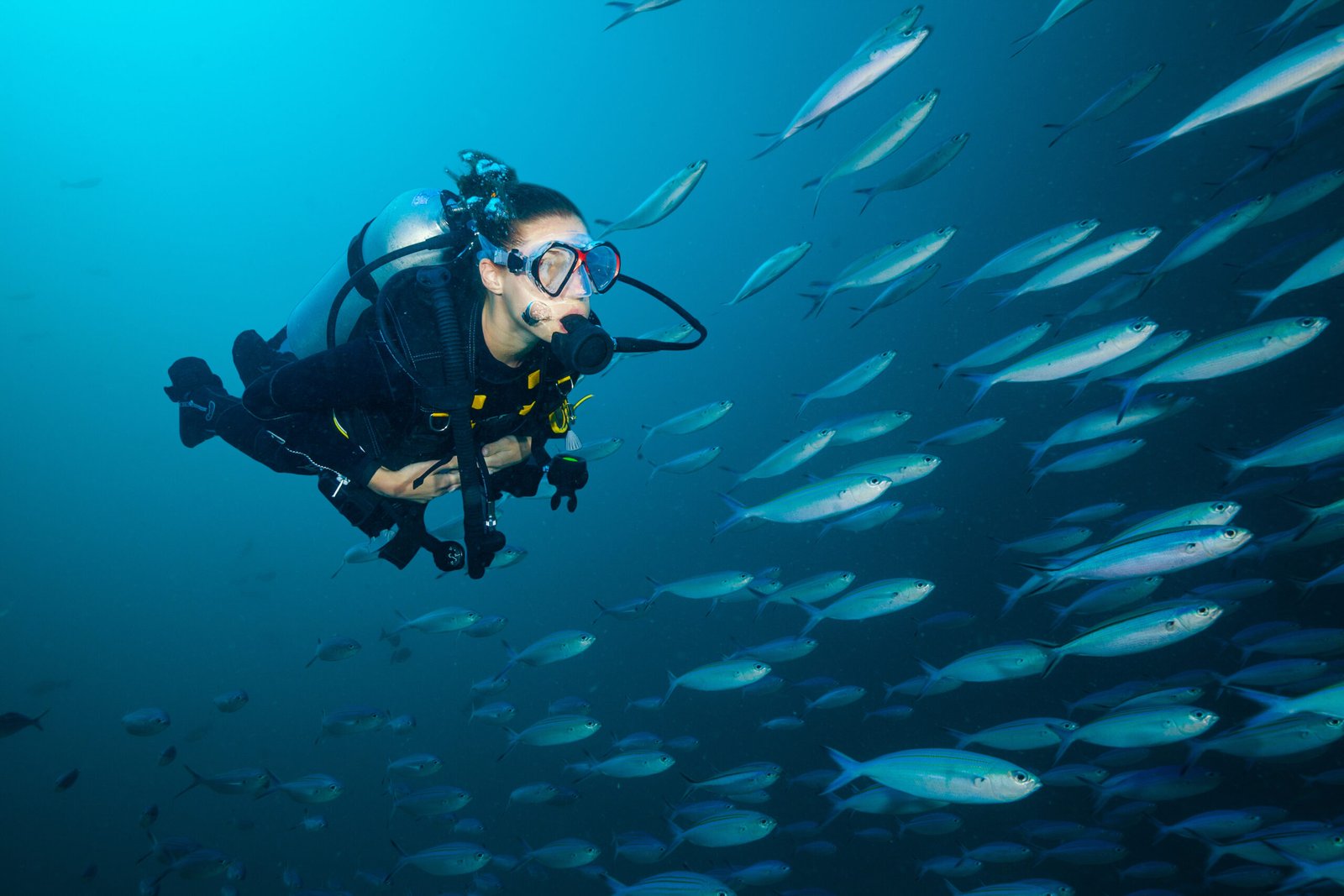 Woman scuba diver exploring sea deepness. Underwater life with beautiful fish. Indian ocean, Maldives